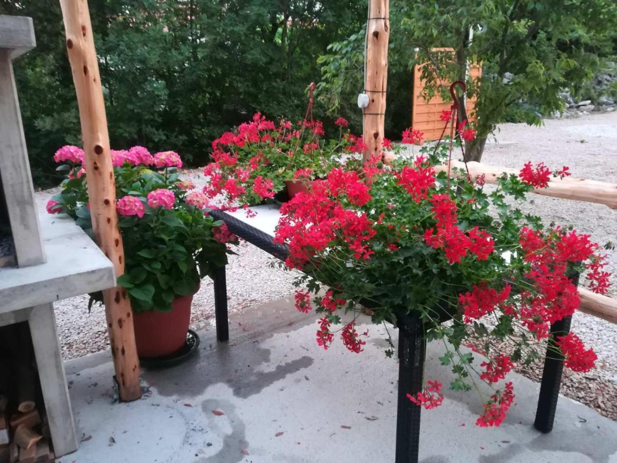 Apartament Stela Pinezići Zewnętrze zdjęcie
